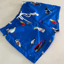 Load image into Gallery viewer, PRE-SALE: Birds of a Feather - Swim Shorts - Dadi Cools