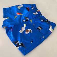 Load image into Gallery viewer, PRE-SALE: Birds of a Feather - Swim Shorts - Dadi Cools